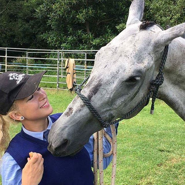 Huds and Toke Horse Treats make you smile