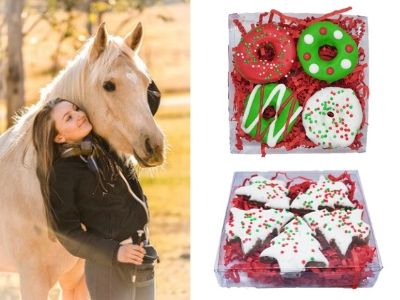 Christmas Horse Treats