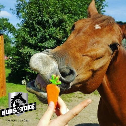 Healthy Horse Treats