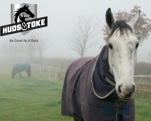 Australian Horse Treats