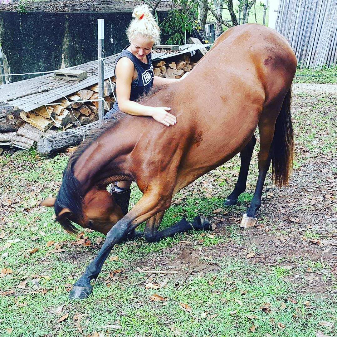 Horse Treats can really make you smile