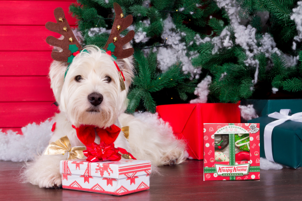 Christmas Dog Treats