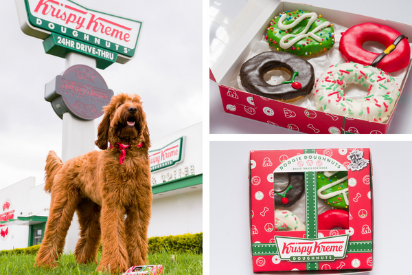 Krispy Kreme Christmas Doggie Doughnuts 