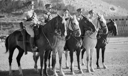 Horse Treats for our Military Ponies