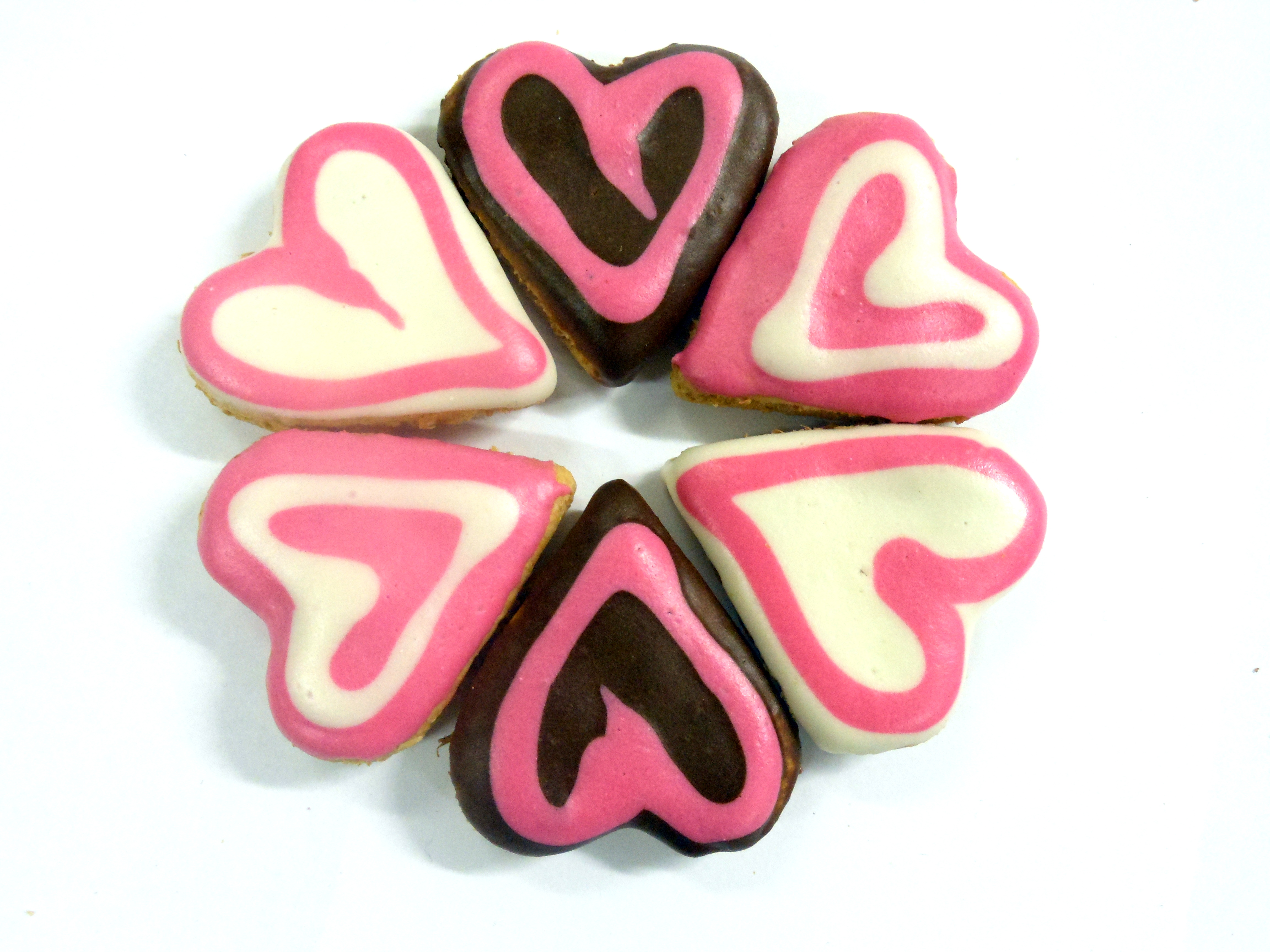 Little Doggy Love Hearts Baked Dog Treats