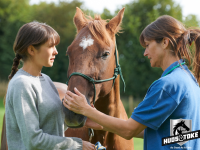 Horse Treats