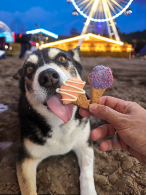 Healthy Dog Treats