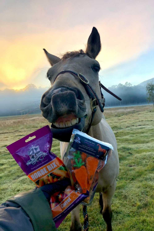 Horse Treats