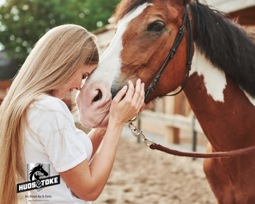 Horse Training Treats